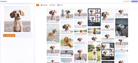 Explore available categories - reverse image search