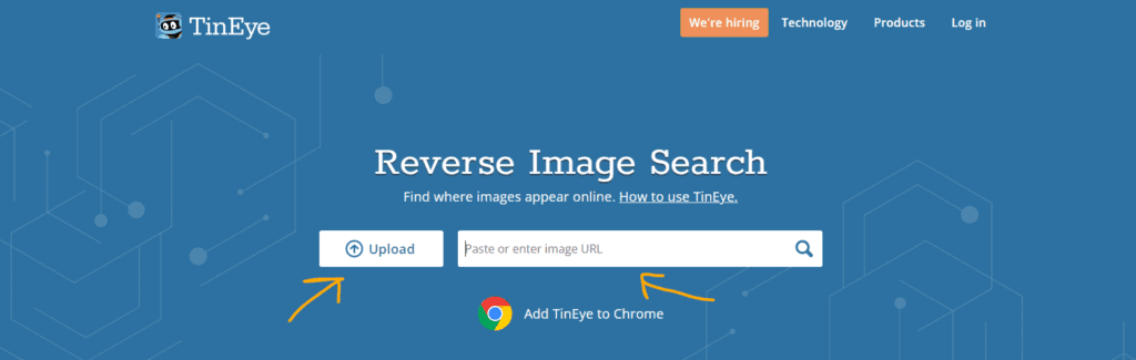 Reverse Image Search On TinEye