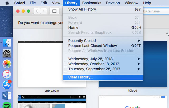 Clear browser history on safari mac