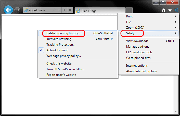 Clear browser history from Internet Explorer
