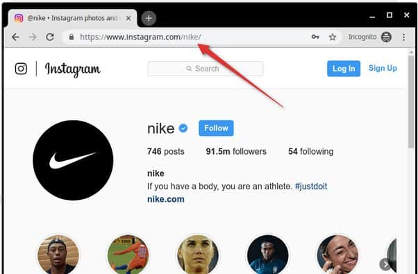 Instagram Profile Viewing Using a User's Profile URL