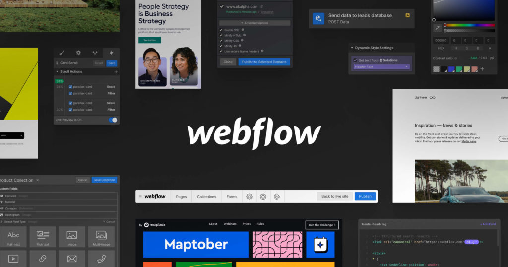 webflow developer