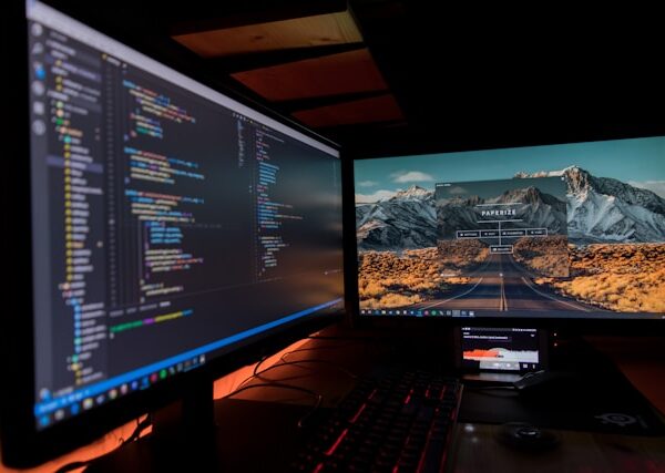 Understanding Developer Roles