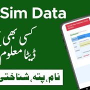 How to Check SIM Owner Details in Pakistan