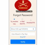Hamraaz Login Guide: Access Pay & Services Easily