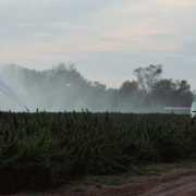 Streamlining the Search for Pre-Owned Sprayers: Tips for Agricultural Businesses