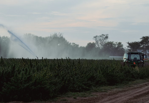 Streamlining the Search for Pre-Owned Sprayers: Tips for Agricultural Businesses