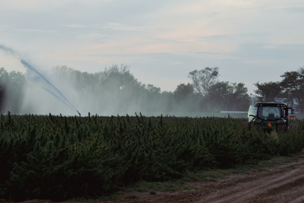 Streamlining the Search for Pre-Owned Sprayers: Tips for Agricultural Businesses
