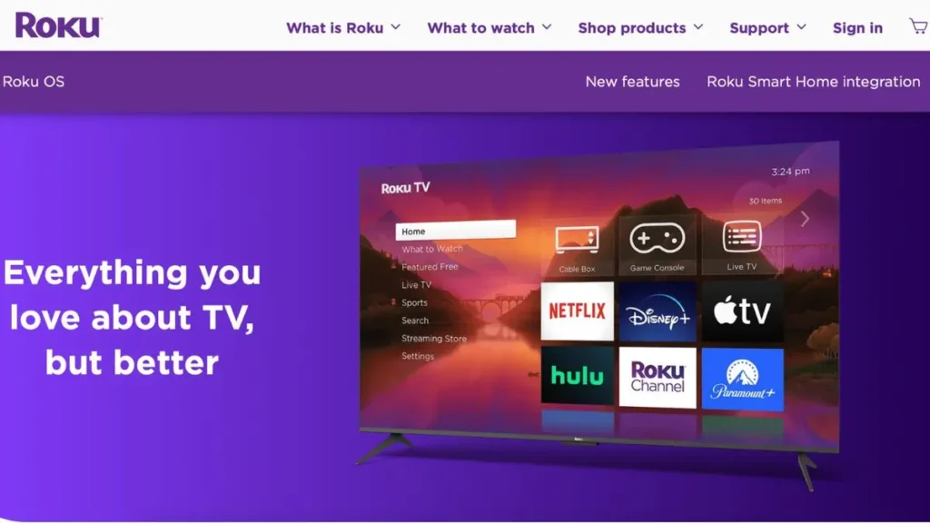 Can The Roku Channel Give You a Virus?