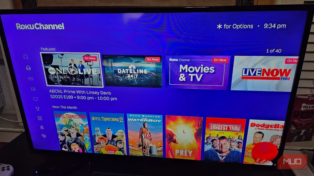 What Can You Watch on The Roku Channel?