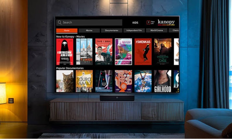 Is Kanopy Safe Compared With Free Movie Websites?